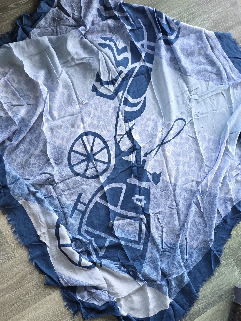 Coach Scarf
